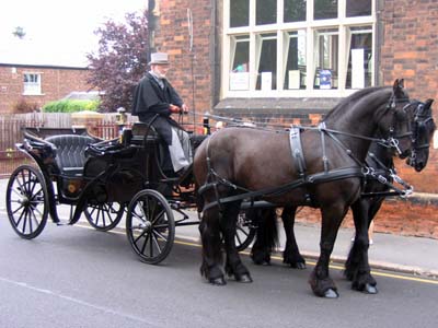 The horse and carriage.