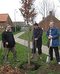 Tree planting in 2007.